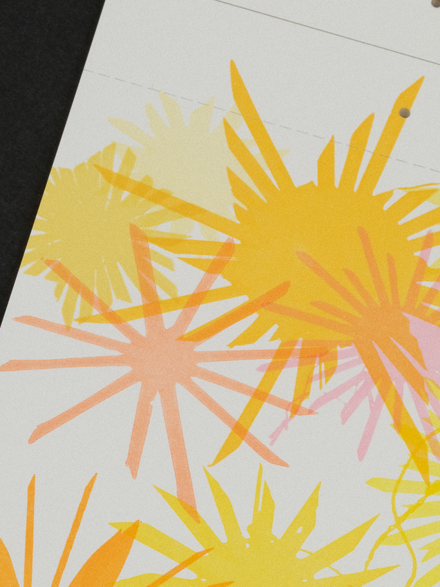 Adventskalender Sterne